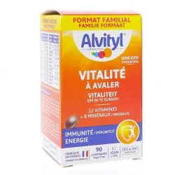 ALVITYL Vitalité - Comprimés vitamines et minéraux goût chocolat 90 comprimés