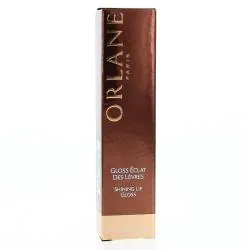 ORLANE Maquillage - Gloss éclat des lèvres flacon applicateur 3ml teinte 08