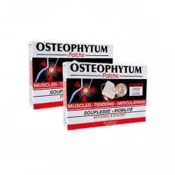 LES 3 CHÊNES Osteophytum lot de 2 boîtes de 14 patchs