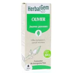HERBALGEM Concentré de bourgeons frais - Olivier jeunes pousses Bio 30ml