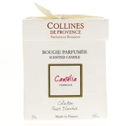 COLLINES DE PROVENCE Bougie Parfumée parfum Camélia 250g