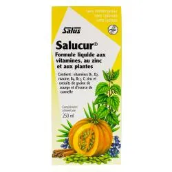 SALUS Salucur Formule liquide aux vitamines, au zinc et aux plantes 250ml