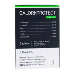 SYNACTIFS Calori-Protect 45 gélules