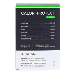 SYNACTIFS Calori-Protect 45 gélules