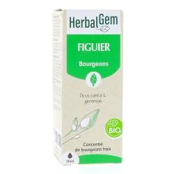 HERBALGEM Concentré du bourgeons frais - Figuier bourgeons Bio 30ml