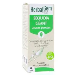 HERBALGEM Concentré de bourgeons frais - Sequoia Géant bio 30ml