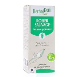 HERBALGEM Concentré de bourgeons - Rosier sauvage jeunes pousses bio 30ml