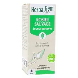 HERBALGEM Concentré de bourgeons frais - Rosier sauvage jeunes pousses bio 30ml
